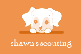 SHAWN'S SCOUTING - BUSINESS LISTING APP UI